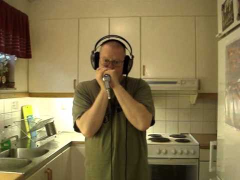 Big Walter Horton's Boogie - Blues Harmonica Cover