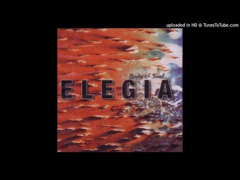 Elegia - The Tycoon [RKG009CD]