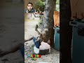 El Dormilón 2025 Part 1 Viralvideo Comedy Funny Shorts