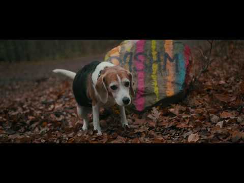 Flughand - hiamo (Official Video)