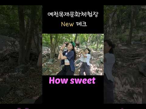 [예천목재문화체험장] 뉴진스-how Sweet (X) 뉴데크-how Siwon (O) #shorts