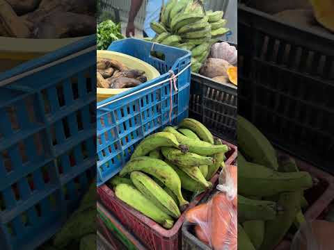 ASÍ SE COMPRA EL DESAYUNO EN EL PUEBLO ZAMBRANO BOLIVAR #zambranobolivar