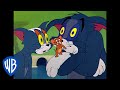 Tom Jerry Sleepy Tom Classic Cartoon WB Kids