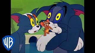 Tom & Jerry  Sleepy Tom  Classic Cartoon  WB K