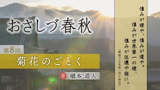 「菊花のごとく」『おさしづ春秋』（8）