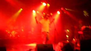 RaF 2010 - Jaya the Cat  - Mistake