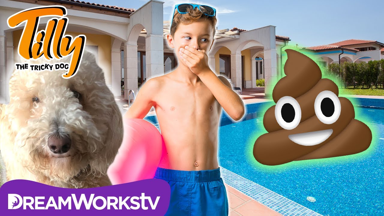 Poop Ruins The Pool Party | TILLY THE TRICKY DOG