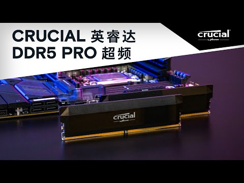 Crucial Pro Overclocking 16GB DDR5-6000 UDIMM Black- view 2