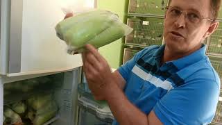 Parte Final- Lucio Cazarotti, criadouro , Luquinhas , bicudos machos 