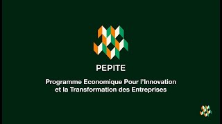 Programme économique pour l’innovation et la transformation des entreprises (PEPITE)