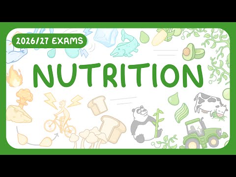 GCSE Biology - Nutrition - Carbohydrates | Lipids | Proteins | Vitamins | Minerals (2026/27 exams)