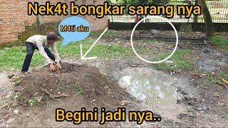 Download lagu TENSIONING NEXT TO THIS EARTHING, HE APPEARED SUDDENLY mp3
