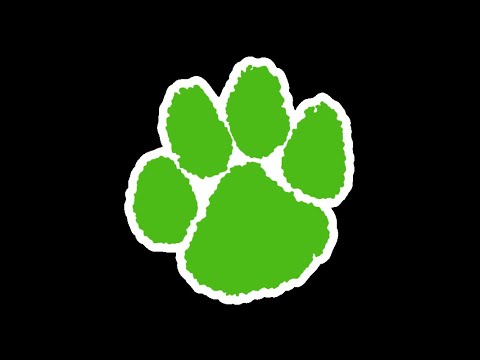 BCHS Tiger Time News Oct/Nov 2022