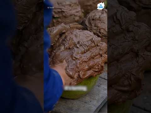 Coconut wine | SJ Tamil  #sjtamil #facts #tamil #shorts