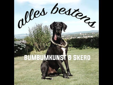 BumBumKunst & Skero die Maasnbriada - Alles Bestens (official video)