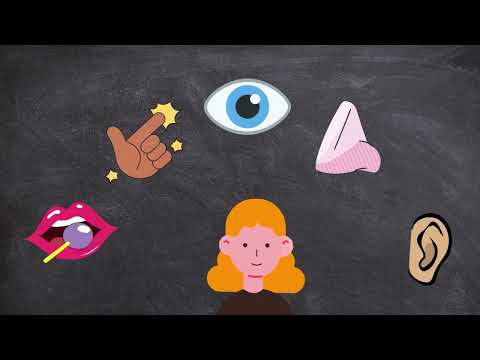 Writing Tip: Subjective VS Objective Language