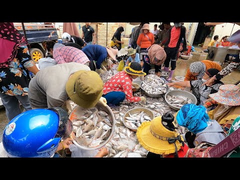 The Most Popular Distribution Fish Market in Cambodia - Lively Fish, Fresh Fish & Dried Fish |Papa