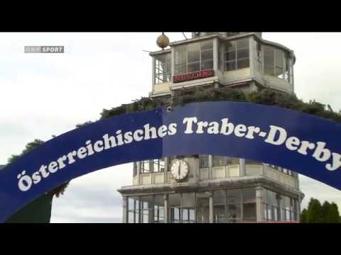 Österreichisches Traberderby 2018 - I Love You Darling / Matthias Schambeck