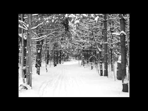 Eric Whitacre, Robert Frost - Stopping by Woods on a Snowy Evening (Sleep)