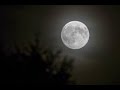 AS I ROVED OUT (THE NIGHT VISIT) 