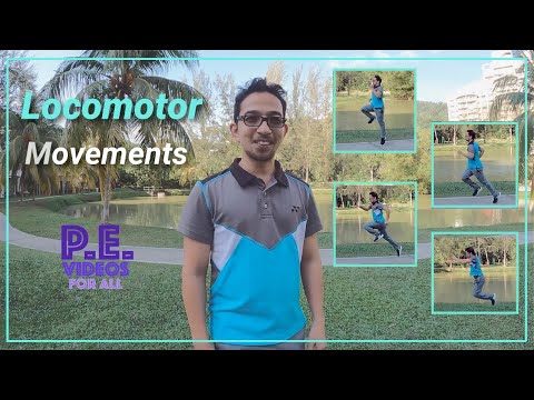 Locomotor movements explained!