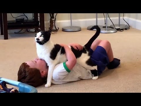 Baby and Cat are Best Friends 😽 Funny Pets Videos