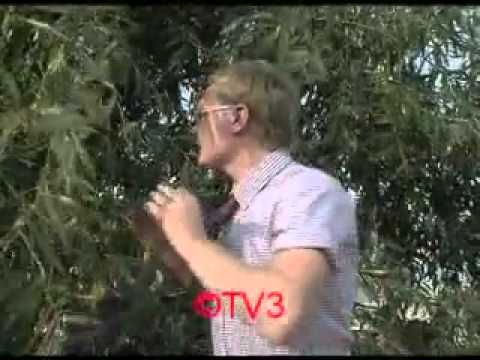 TV3 - Lietuvos talentu filmavimas