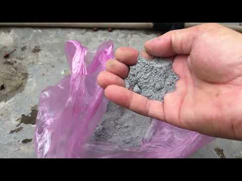 How to fertilize to create buds for Northern yellow apricot trees