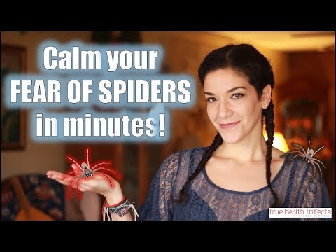 image-How do you get over the fear of spiders? 
