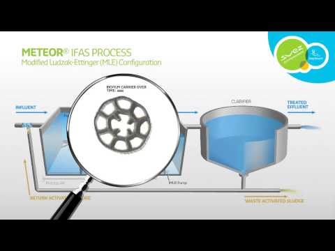 Meteor® IFAS Process