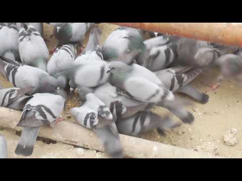 0511 DELHI AIR POLLUTION