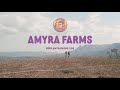 Discover the Beauty of Amyra Farms: A Picturesque Coffee Estate in Chikmagalur - Managed Farmland