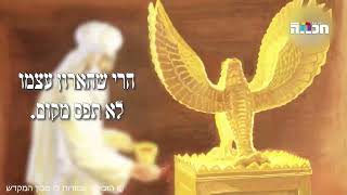 קודש הקודשים: המקום הכי קדוש בעולם (הרב יואב אקריש) - התמונה מוצגת ישירות מתוך אתר האינטרנט יוטיוב. זכויות היוצרים בתמונה שייכות ליוצרה. קישור קרדיט למקור התוכן נמצא בתוך דף הסרטון