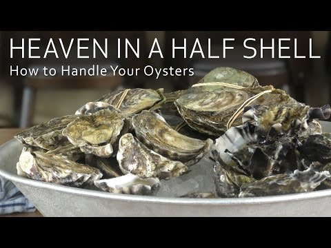 download lagu mp3 mp4 Oyster Shelf Life, download lagu Oyster Shelf Life gratis, unduh video klip Oyster Shelf Life
