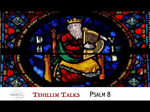 Tehillim Talks - Psalm 8
