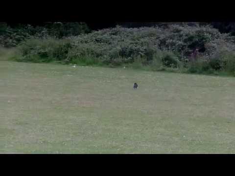 Let's Consider - Episode One: Regret