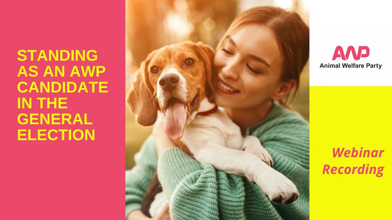 Current Elections Animal Welfare Party