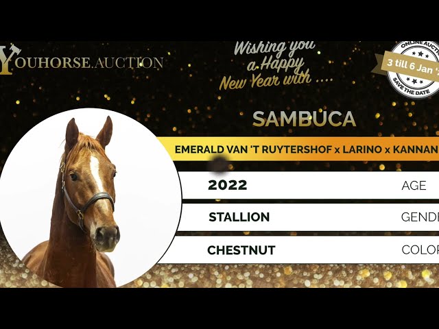 Sambuca