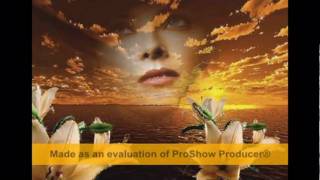 Lulu Santos-Certas Coisas...