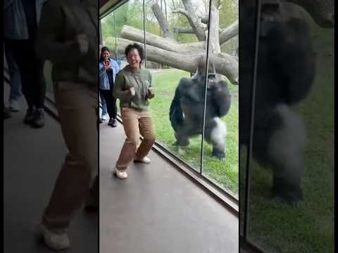 Who is the best dancer? 🤣💃👯