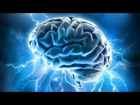 Sa është i madh truri i njeriut sipas fizikanëve ?!- Hoxhë Qëndrim Jashari