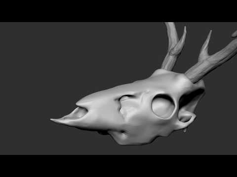 Daily 004 [Deer Skull]