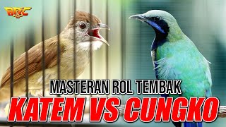Download lagu MASTERA KAPAS TEMBAK VS CUNGKO | 100% AUDIO JERNIH mp3