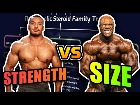 Powerlifter Vs. Bodybuilder Steroid Cycles - How They Differ