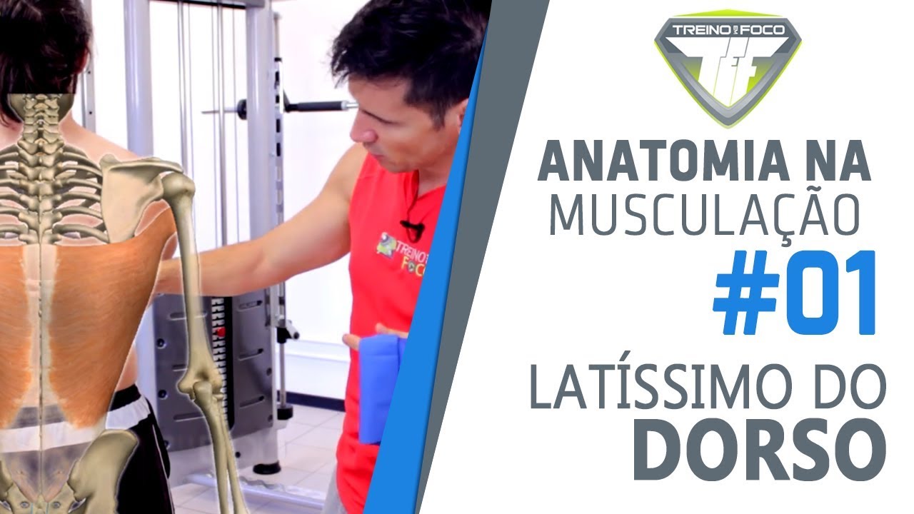 Pulldown com Corda - Latíssimo do Dorso - Anatomia na Musculação #1
