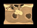White Mouse Laughing Leopold The Cat Vs Gummy Bear коричневый эффект рябь Klasky