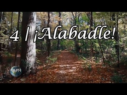 Alabadle video