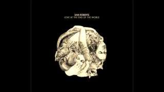 Sam Roberts Band - &quot;Lions of the Kalahari&quot; - Love at the End of the World