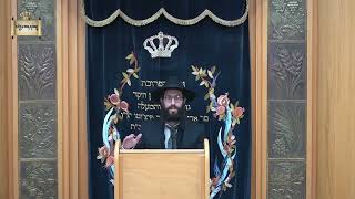 פורים יותר גדול מפסח האמנם ! הרב ישראל משה שליט"א מתלמידי הגאון הינוקא - בשיעור מרתק במעלת חג הפורים