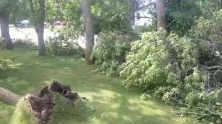 Fallout from storm backus, Minnesota  trees down footage